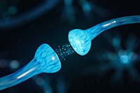 Illustration of connecting synapses 